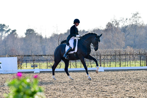 Reitsportzentrum Bremervörde | 170421 Dressur S+_186 