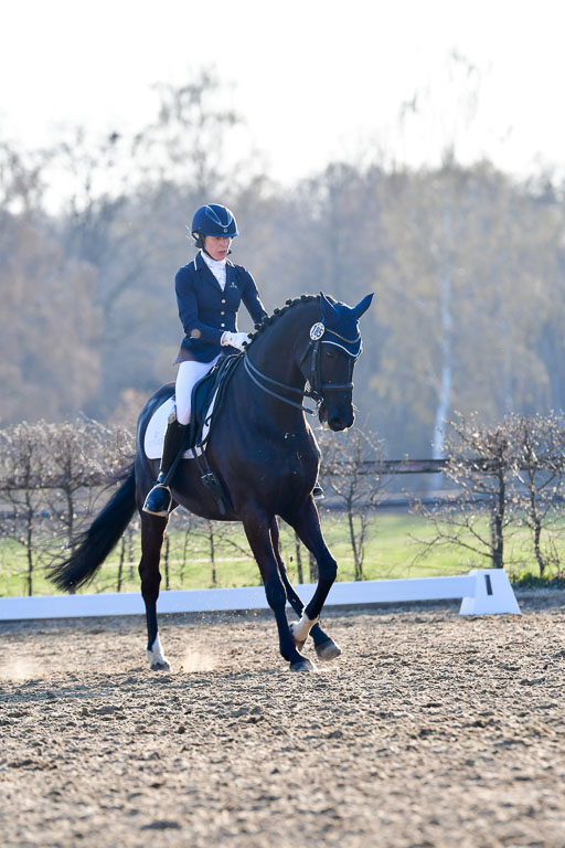 Reitsportzentrum Bremervörde | 170421 Dressur S+_200 