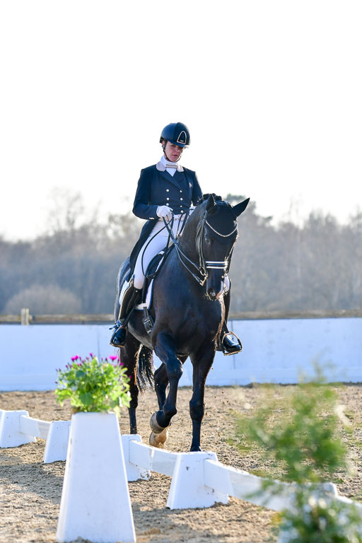 Reitsportzentrum Bremervörde | 170421 Dressur S+_205 