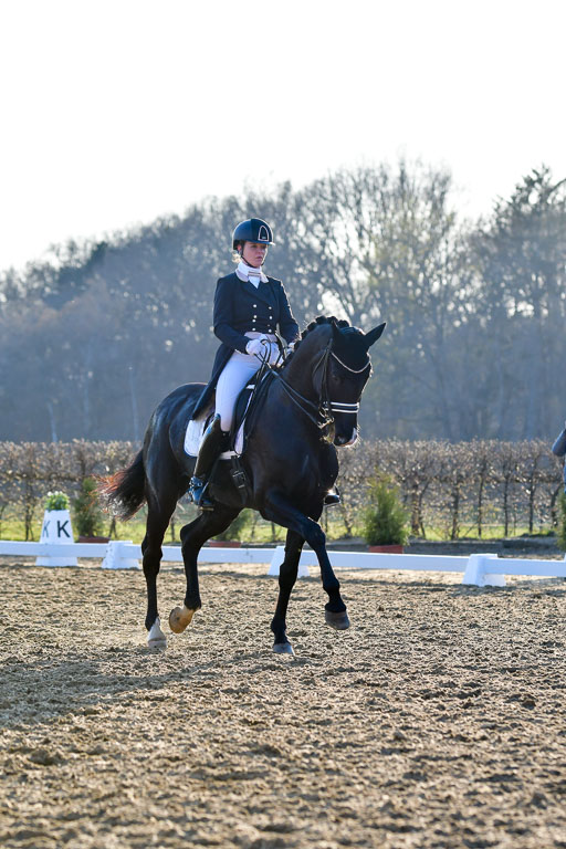 Reitsportzentrum Bremervörde | 170421 Dressur S+_208 