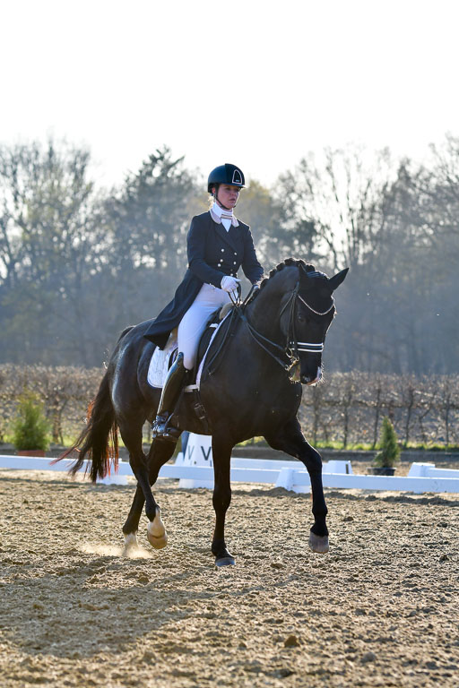 Reitsportzentrum Bremervörde | 170421 Dressur S+_209 