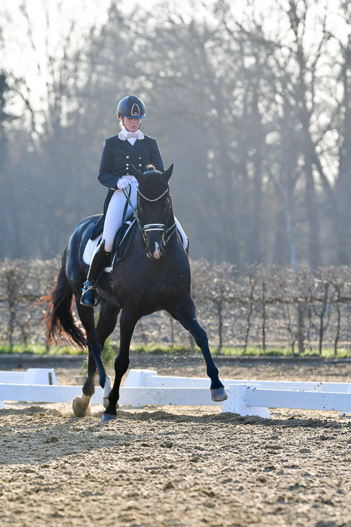 Reitsportzentrum Bremervörde | 170421 Dressur S+_212 