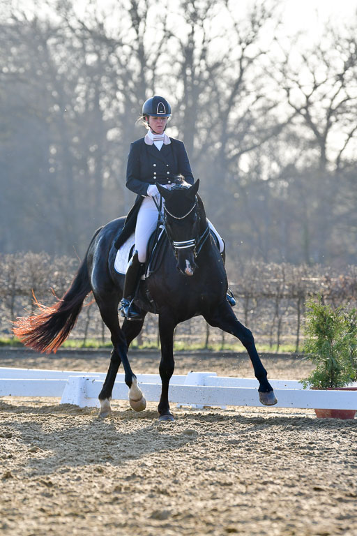 Reitsportzentrum Bremervörde | 170421 Dressur S+_213 