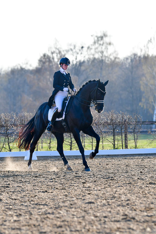 Reitsportzentrum Bremervörde | 170421 Dressur S+_215 