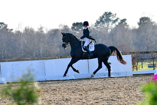 Reitsportzentrum Bremervörde | 170421 Dressur S+_220 
