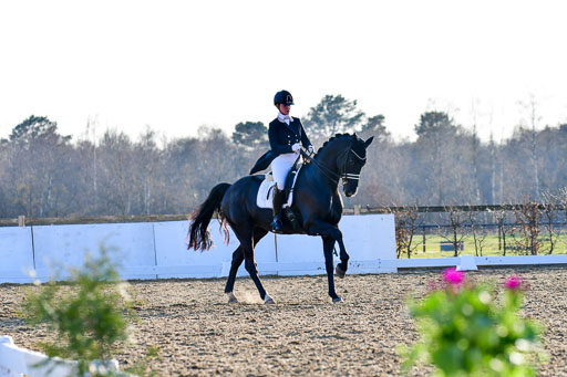 Reitsportzentrum Bremervörde | 170421 Dressur S+_222 