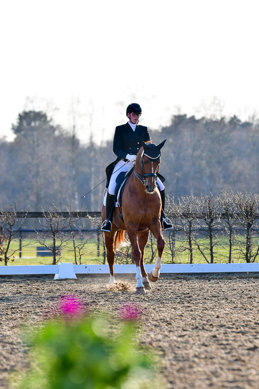 Reitsportzentrum Bremervörde | 170421 Dressur S+_225 