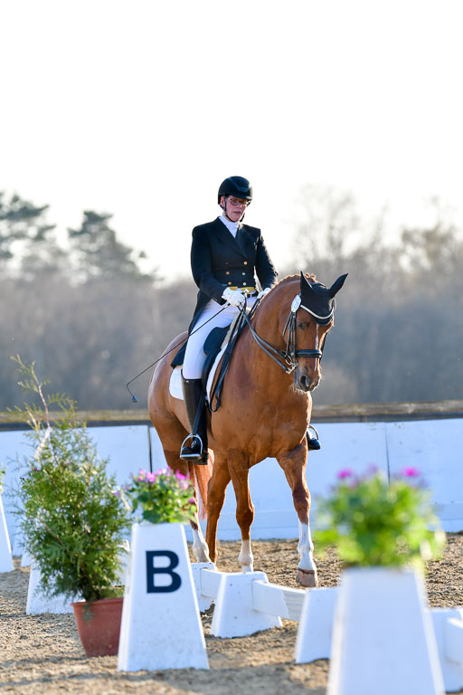 Reitsportzentrum Bremervörde | 170421 Dressur S+_228 