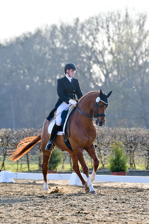 Reitsportzentrum Bremervörde | 170421 Dressur S+_229 