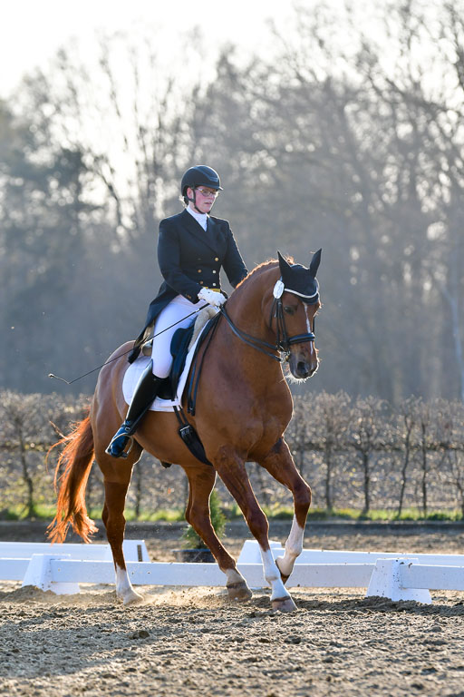 Reitsportzentrum Bremervörde | 170421 Dressur S+_230 