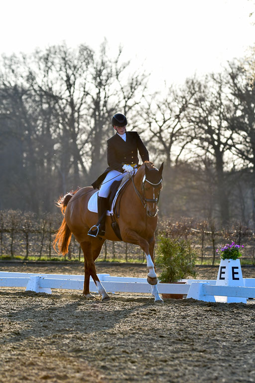 Reitsportzentrum Bremervörde | 170421 Dressur S+_231 