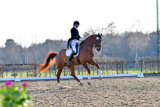 Reitsportzentrum Bremervörde | 170421 Dressur S+_234 