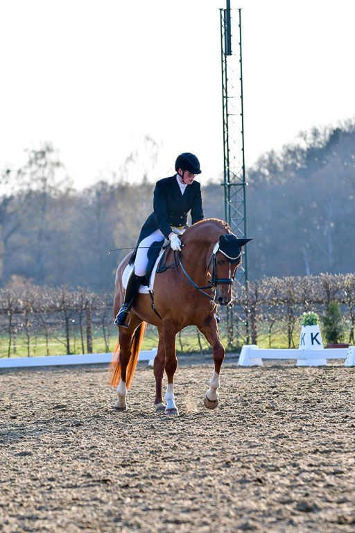 Reitsportzentrum Bremervörde | 170421 Dressur S+_236 