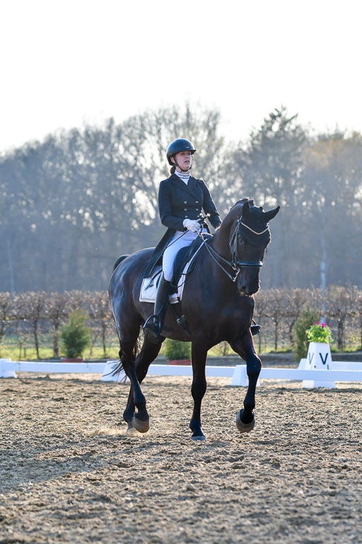 Reitsportzentrum Bremervörde | 170421 Dressur S+_240 