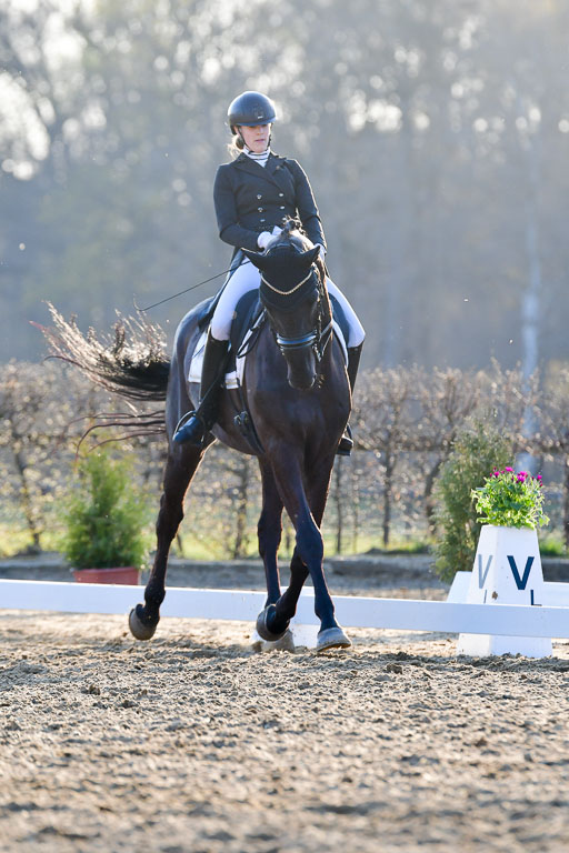 Reitsportzentrum Bremervörde | 170421 Dressur S+_243 