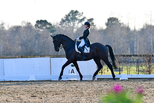 Reitsportzentrum Bremervörde | 170421 Dressur S+_246 
