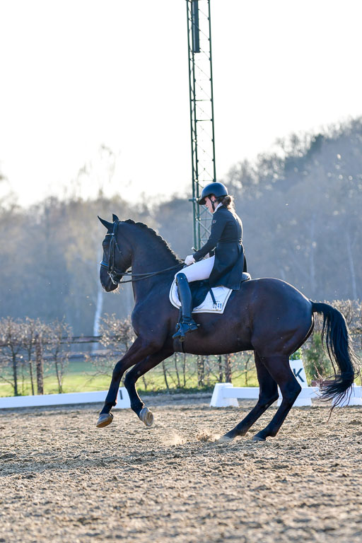 Reitsportzentrum Bremervörde | 170421 Dressur S+_250 