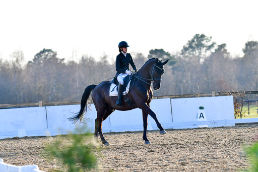 Reitsportzentrum Bremervörde | 170421 Dressur S+_251 