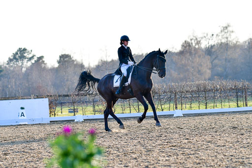 Reitsportzentrum Bremervörde | 170421 Dressur S+_252 