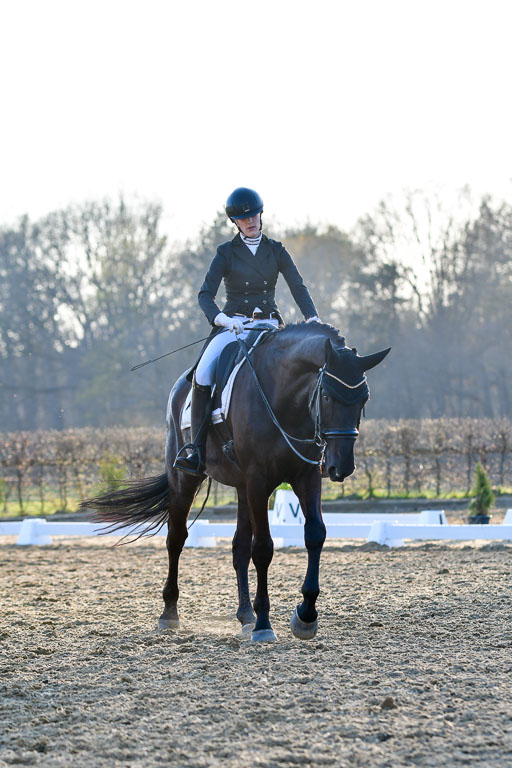 Reitsportzentrum Bremervörde | 170421 Dressur S+_256 