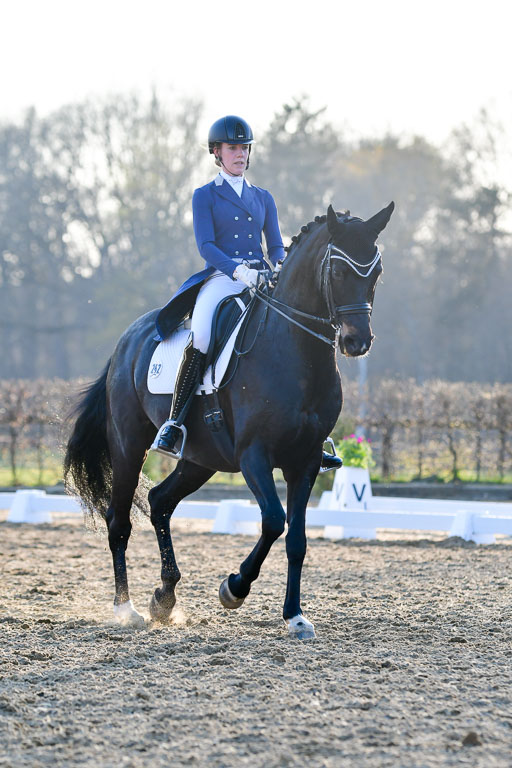 Reitsportzentrum Bremervörde | 170421 Dressur S+_260 