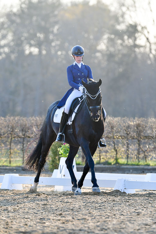 Reitsportzentrum Bremervörde | 170421 Dressur S+_262 