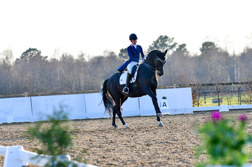 Reitsportzentrum Bremervörde | 170421 Dressur S+_269 