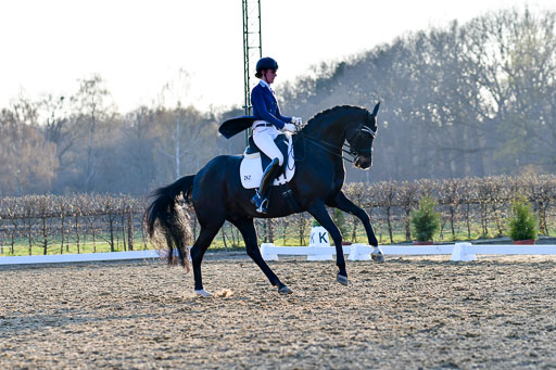 Reitsportzentrum Bremervörde | 170421 Dressur S+_270 