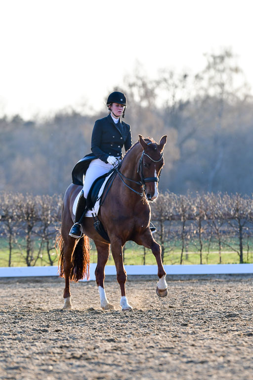 Reitsportzentrum Bremervörde | 170421 Dressur S+_276 