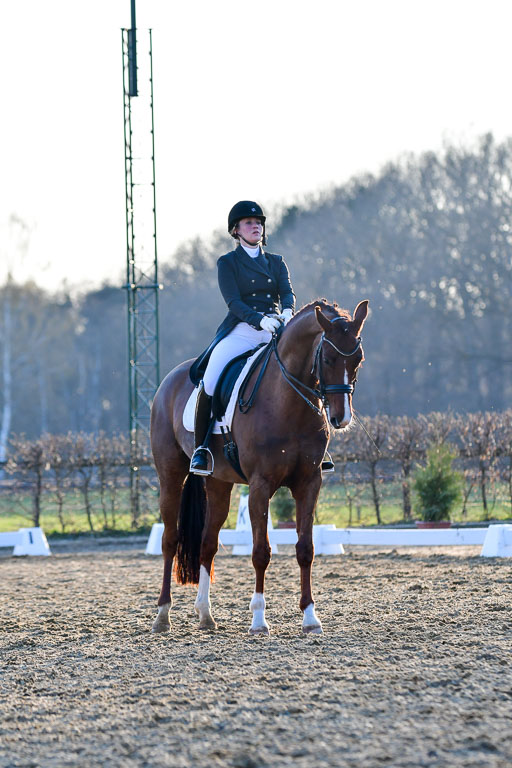 Reitsportzentrum Bremervörde | 170421 Dressur S+_278 