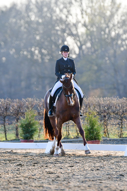 Reitsportzentrum Bremervörde | 170421 Dressur S+_279 