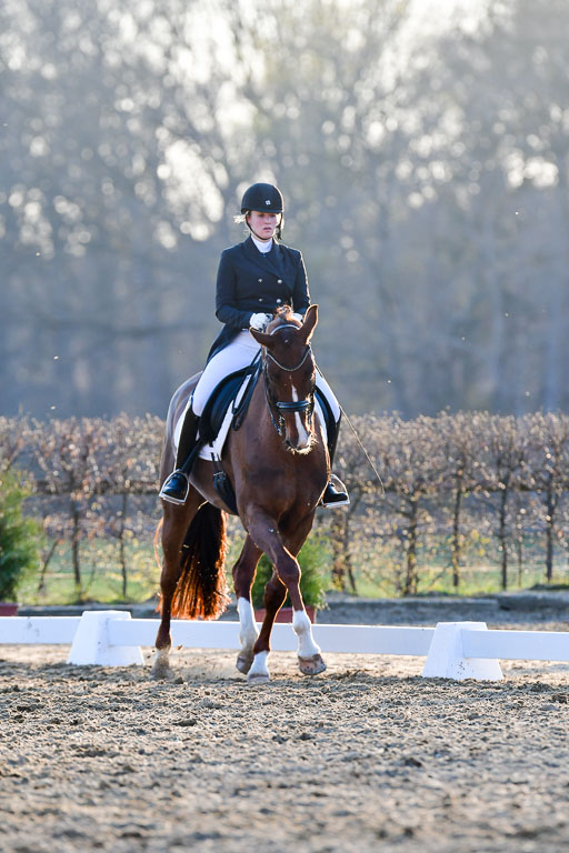 Reitsportzentrum Bremervörde | 170421 Dressur S+_280 