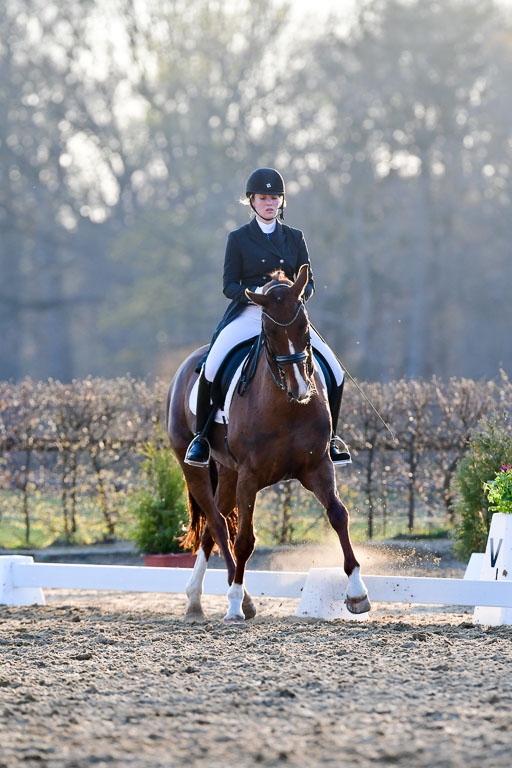 Reitsportzentrum Bremervörde | 170421 Dressur S+_281 