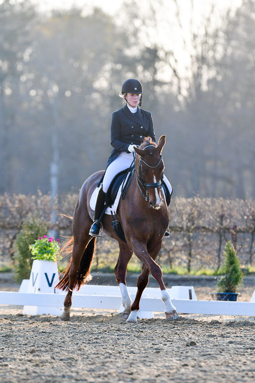 Reitsportzentrum Bremervörde | 170421 Dressur S+_284 