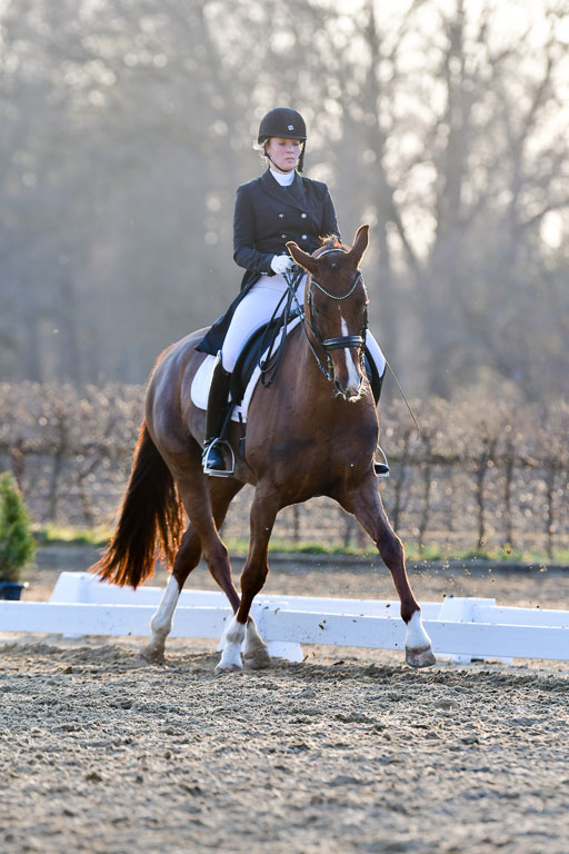 Reitsportzentrum Bremervörde | 170421 Dressur S+_285 