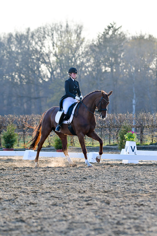 Reitsportzentrum Bremervörde | 170421 Dressur S+_289 