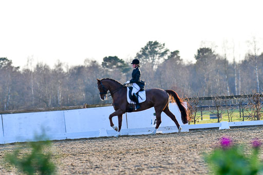 Reitsportzentrum Bremervörde | 170421 Dressur S+_290 