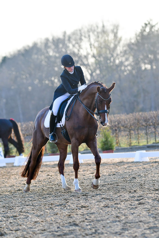 Reitsportzentrum Bremervörde | 170421 Dressur S+_296 