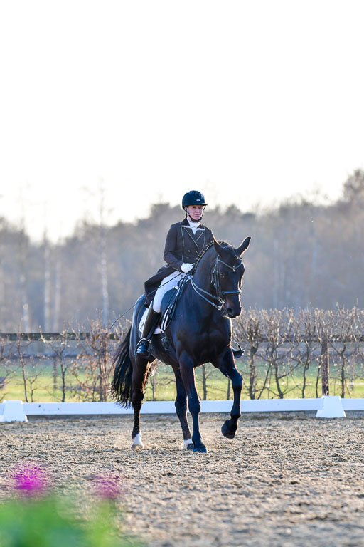 Reitsportzentrum Bremervörde | 170421 Dressur S+_300 