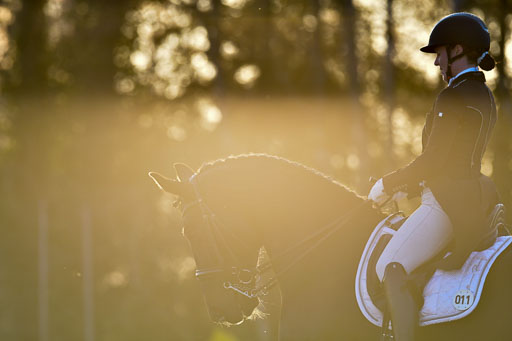 Reitsportzentrum Bremervörde | 170421 Dressur S+_303 