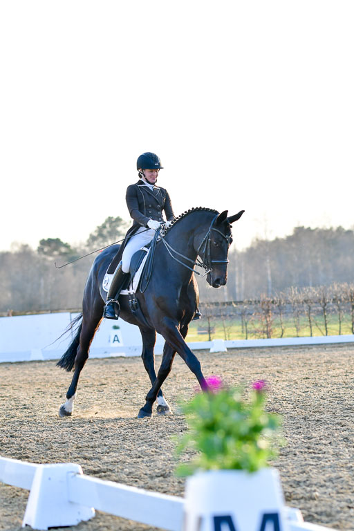 Reitsportzentrum Bremervörde | 170421 Dressur S+_311 