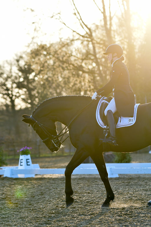 Reitsportzentrum Bremervörde | 170421 Dressur S+_315 