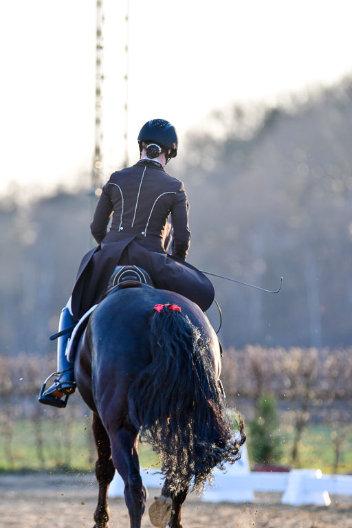 Reitsportzentrum Bremervörde | 170421 Dressur S+_322 
