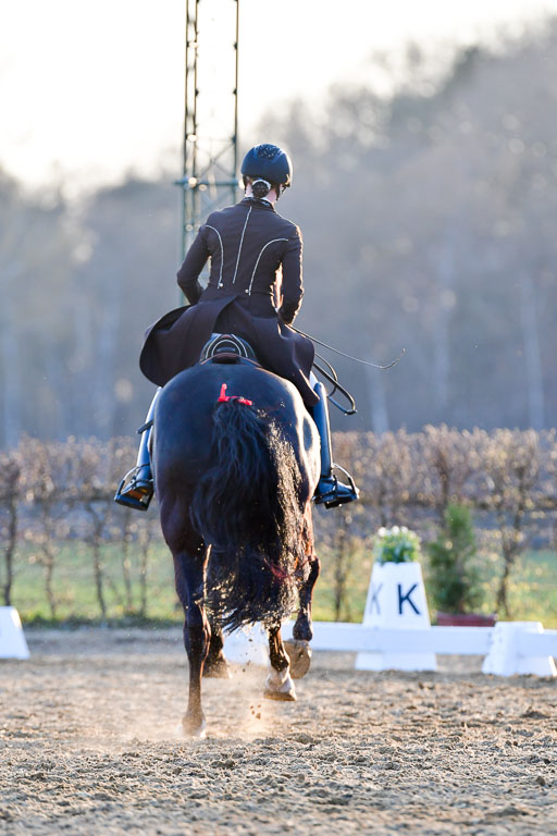 Reitsportzentrum Bremervörde | 170421 Dressur S+_324 
