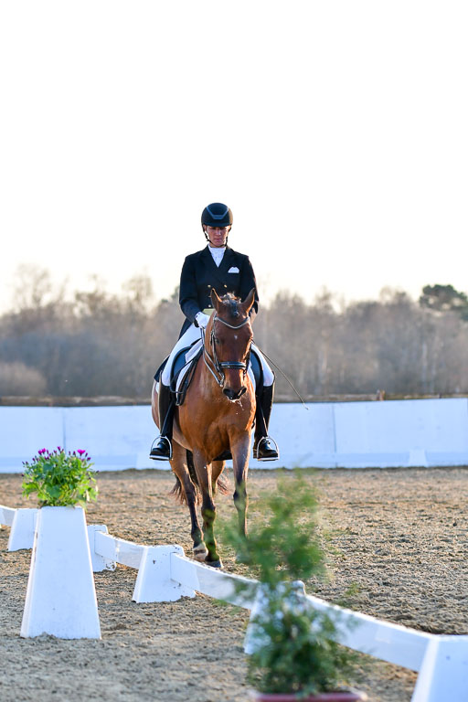 Reitsportzentrum Bremervörde | 170421 Dressur S+_330 