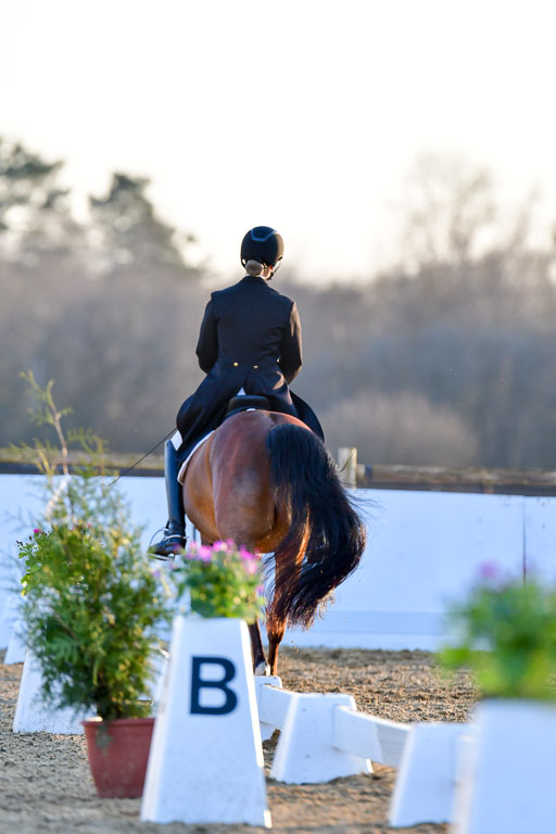 Reitsportzentrum Bremervörde | 170421 Dressur S+_331 