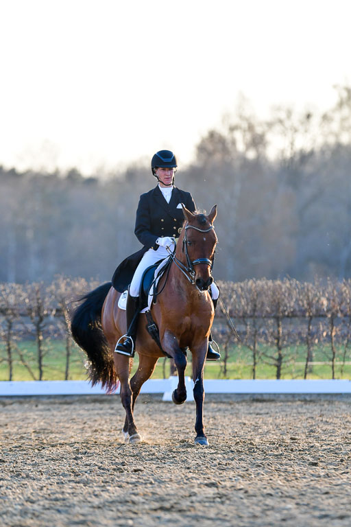 Reitsportzentrum Bremervörde | 170421 Dressur S+_335 