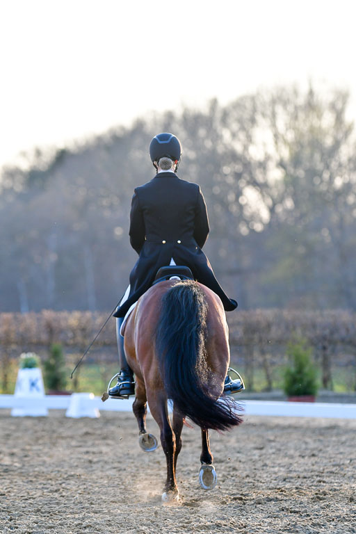 Reitsportzentrum Bremervörde | 170421 Dressur S+_342 