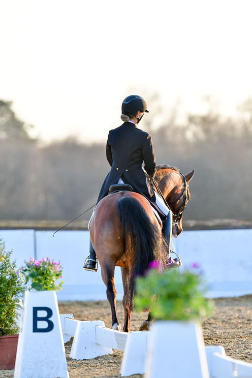 Reitsportzentrum Bremervörde | 170421 Dressur S+_346 
