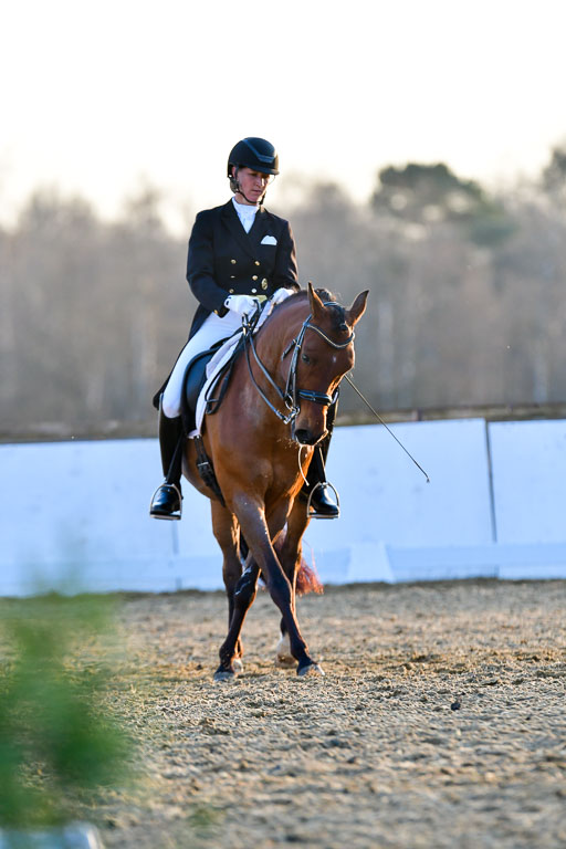Reitsportzentrum Bremervörde | 170421 Dressur S+_347 